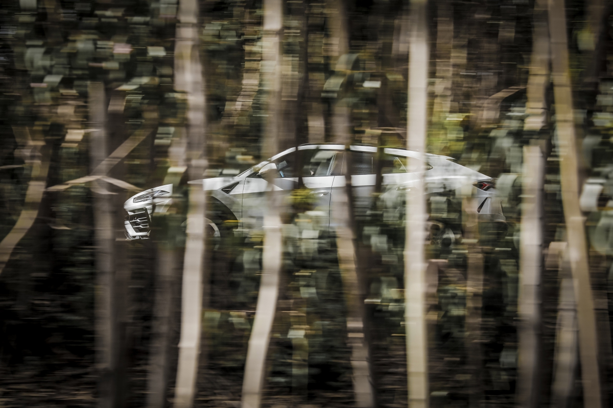 Sel Best Esperienza terra Nazare_034