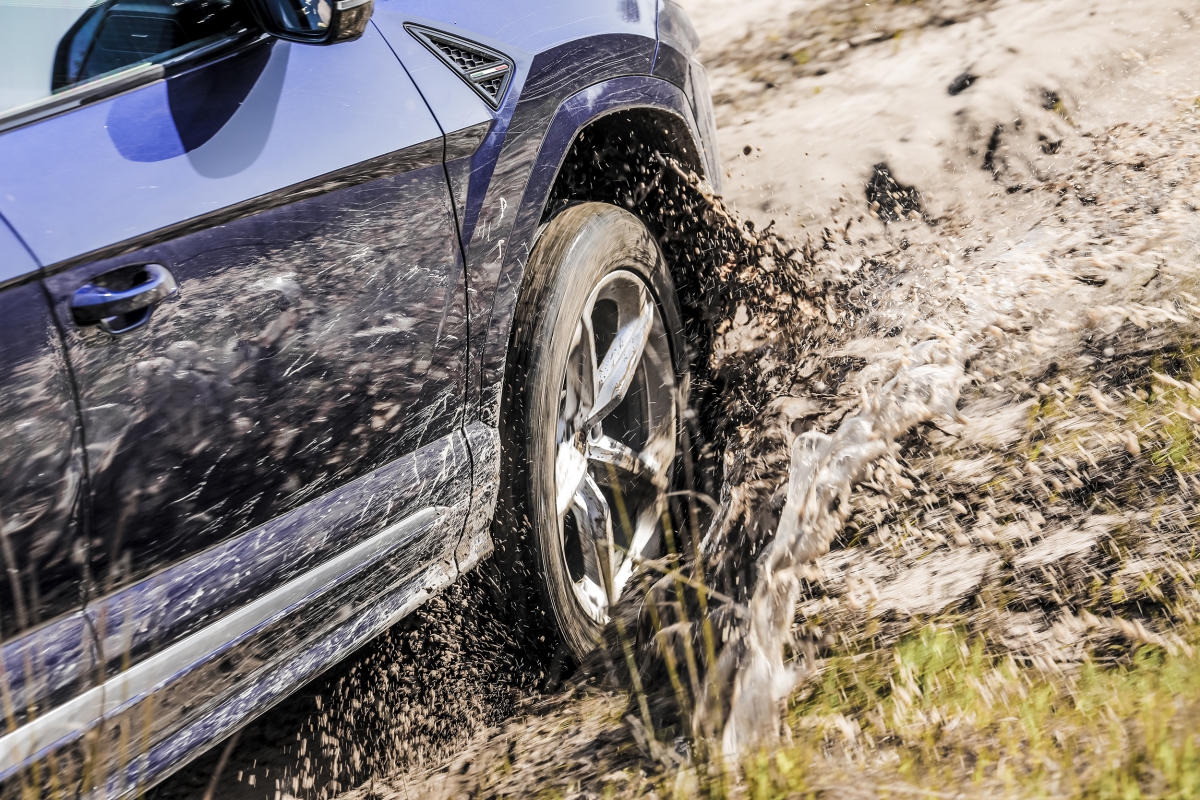 Sel Best Esperienza terra Nazare_076